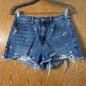 American Eagle Outfitters Blue Embroidered Jean Shorts